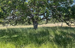 2 Interlake Road, Bradley, CA 93426