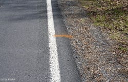 Roosie Road lot: #4, Dingmans Ferry, PA 18328