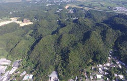Maguayo, Dorado, PR 00646
