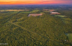 Oberry Road, Millwood, GA 31552