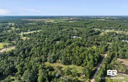 Route Road, Lillian, AL 36549