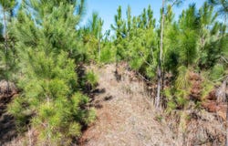 Live Oak, FL 32060