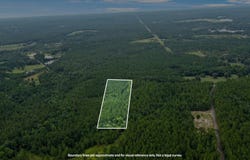 NHN Silver Run-Progress Rd, Perkinston, MS 39573