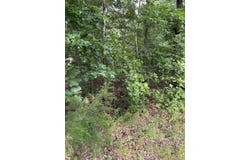 2830 tiger b Road, Drasco, AR 72530