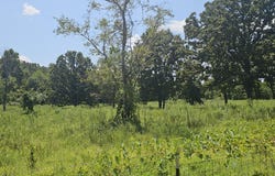 2830 County Road 7780, Moody, MO 65777