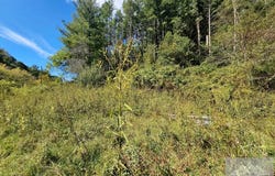 9575 Mud Fork Road, BLUEFIELD, VA 24605