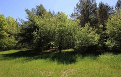 Hillman Road, Ellsworth, MI 49729