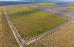 County Rd 16, Ovid, CO 80744