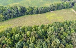 Lower Big Sandy Rd, BIG SANDY, TN 38221