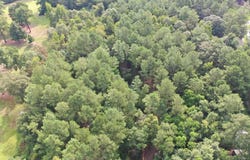 Reedy Creek Rd., LAUREL, MS 39443