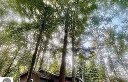 5298 Mills Drive, Prescott, MI 48756