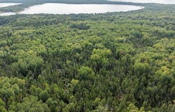 Sandbar Lane lot: A, Merrifield, MN 56465