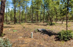 5558 High Drive, Lakeside, AZ 85929