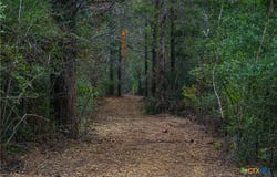 Stiewert Lane, Paige, TX 78659