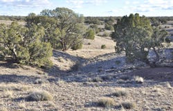 691 CR 5270, Concho, AZ 85924