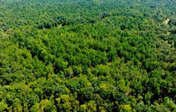 Waynesboro, GA 30830