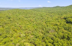 Falling Star Road, Lampe, MO 65681