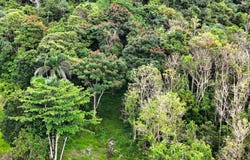 ManatÃ, ManatÃ, PR 00612