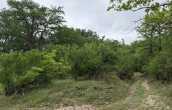 261 River Dr, Rio Frio, TX 78879