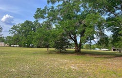 N Main St, Bell, FL 32619