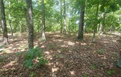 Elk Creek, MO 65464
