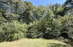 S Locust Street, McComb, MS 39648