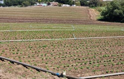 WATSONVILLE, CA 95076