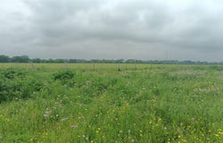 CR494 N, Chilton, TX 76632