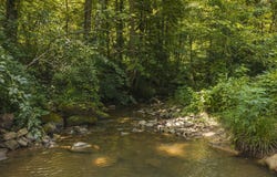Snake Hollow Rd, Sneedville, TN 37869