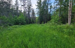 ON BRADY LN, Elcho, WI 54428