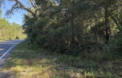 0190 N COUNTY RD 315, Interlachen, FL 32148