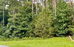 1012 Sally White Rd Ext, Hodges, SC 29653
