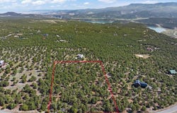 Pine Drive lot: 10, Ridgway, CO 81432