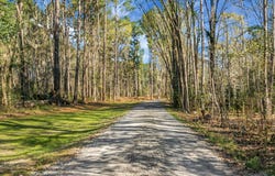 274 Rae Lane, Bonneau, SC 29431