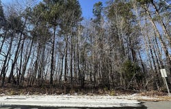 Pierce Denny Road, Liberty, NC 27298