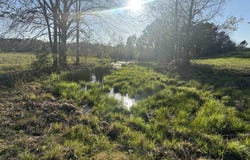N County Road 143, San Augustine, TX 75972