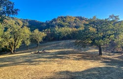 22 Arroyo Sequoia, CARMEL, CA 93923
