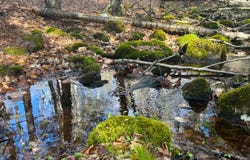 Hardscrabble Rd, North Creek, NY 12853