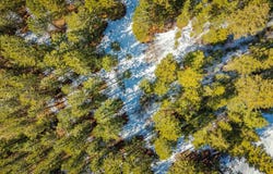 Skunk Creek Road, Cascade, ID 83611