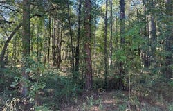 Joyner Lane, Charleston, SC 29492