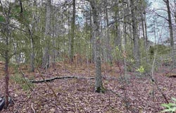 WRIGHT WAY DRIVE lot: 78, WEDOWEE, AL 36278