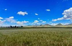 20 AC Martha's Lane, Elgin, AZ 85611