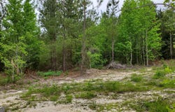 ----- SR 19, Dublin, GA 31021