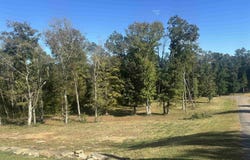 MARIAH Ln, Bath Springs, TN 38311-4522