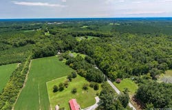 9245 LIBERTY RD, Dolphin, VA 23843