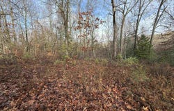 Dogwood Drive, Omaha, AR 72662