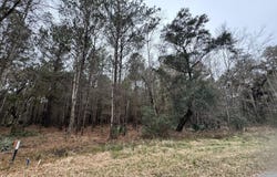 852 Somerset Drive, Yemassee, SC 29945