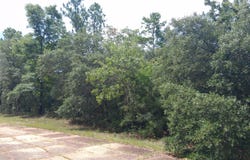 Wellington Place, Chipley, FL 32428