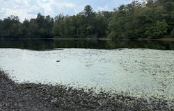 Judson Park Dr, Cottondale, AL 35453