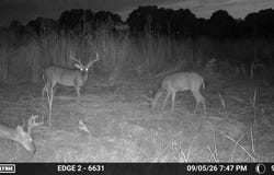 0 Dunlap Rd, Smithland, KY 42081